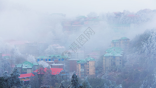 雾凇特写庐山童话世界冰雪摄影图片背景