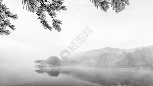 雾凇特写庐山冰雪摄影图片背景