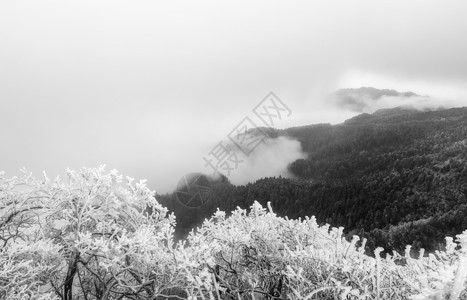 云海插画庐山冰雪摄影图片背景