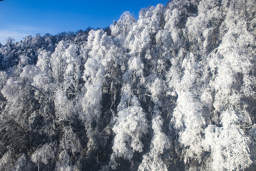 冰天雪地图片