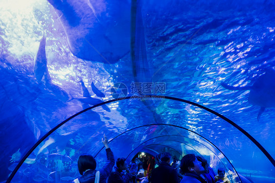 水族馆海底世界图片