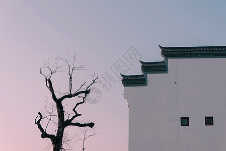 仿古建筑与树背景图片