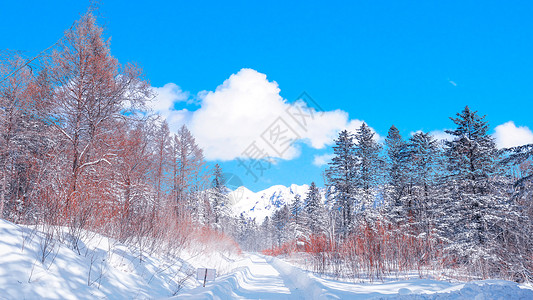 东北雪东北雪景高清图片