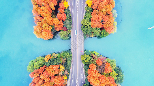 杭州马路西湖航拍背景