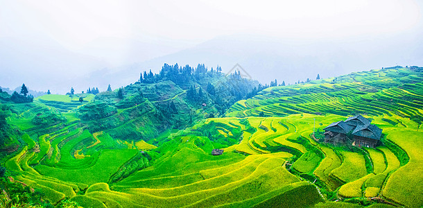 贵州加榜梯田背景