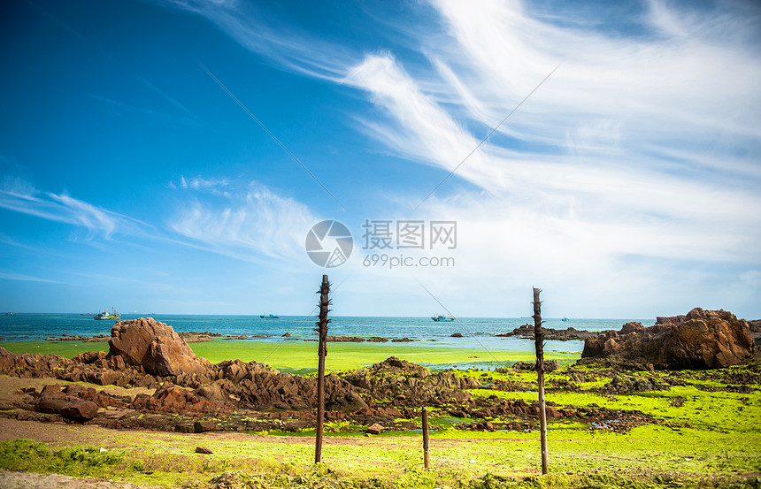 青岛海边海藻沙滩图片