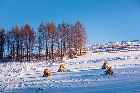 林海雪原背景图片