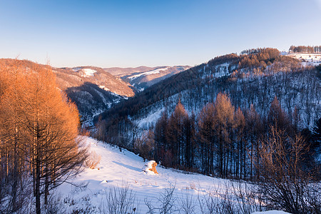 林海雪原图片