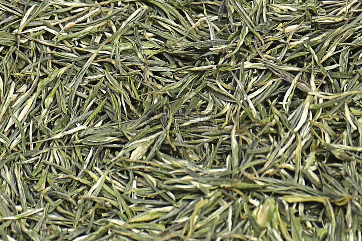 老树白茶有什么功效_功效