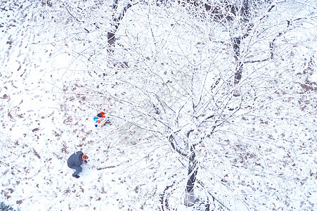 上海的第一场雪背景