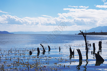 大理海舌湿地公园高清图片