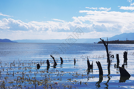 洱海日出大理海舌湿地公园背景