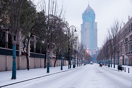 武汉中山大道雪景图片