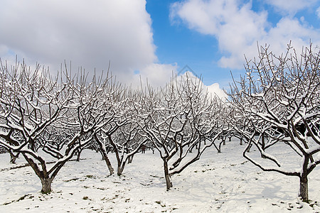 阳光下的影子蓝天白云下的简洁雪景背景