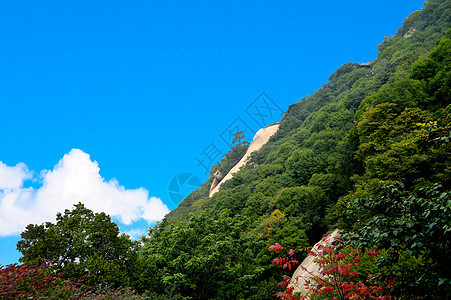 华山风景图片