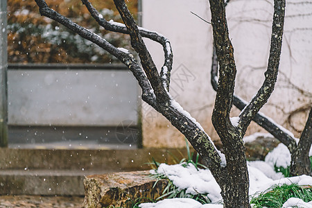 中式古典园林中的雪景图片