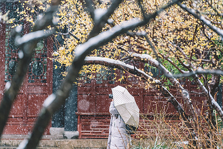 中式古典园林中的雪景图片