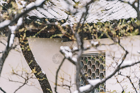 庭院梅花中式古典园林中的雪景背景