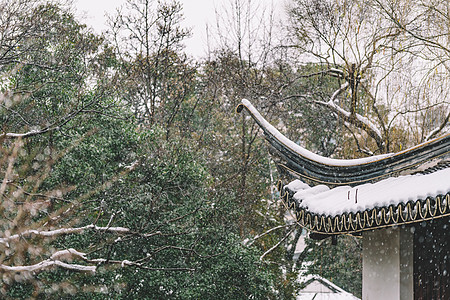 中式古典园林中的雪景图片