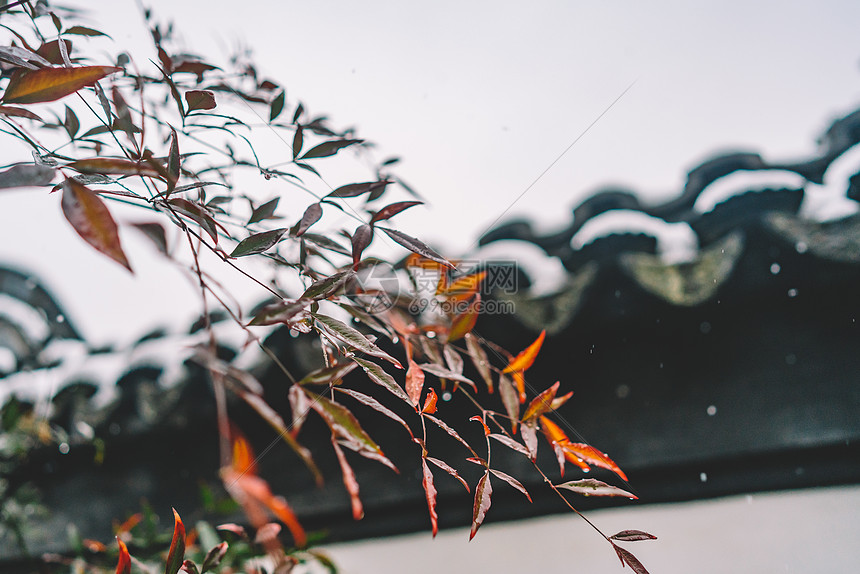 中式古典园林中的雪景图片