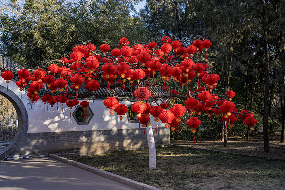 喜庆春节图片