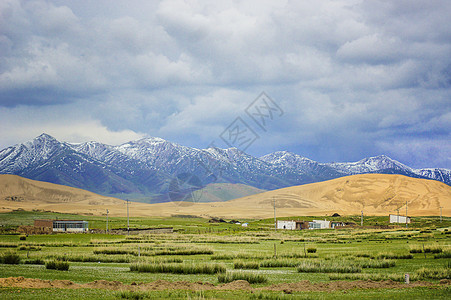 青海湖雪山图片