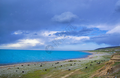 青海湖青海风光高清图片