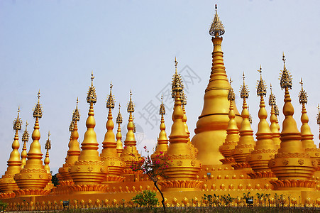泰国海龙寺西双版纳傣族建筑佛塔背景
