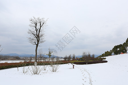南国雪景图片