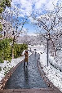 冬季雪中人物雪中景色和拍照的人们背景