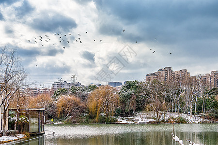 城市黑金雪中的上海城市一隅背景