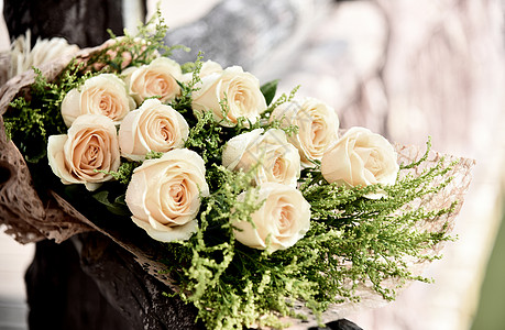 鲜花一束白玫瑰高清图片