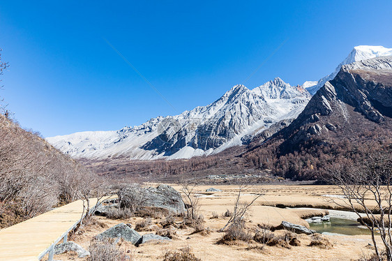 冬天的稻城亚丁雪山图片