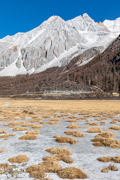 冬天的稻城亚丁雪山图片