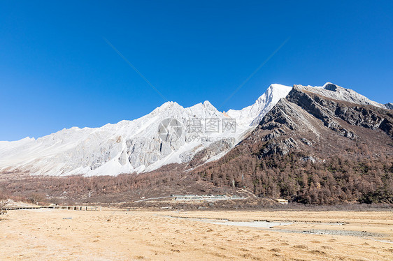 冬天的稻城亚丁雪山图片