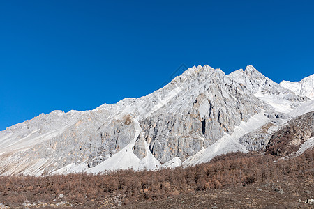 冬天的稻城亚丁雪山图片