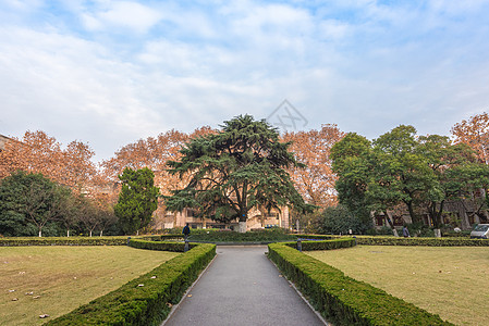 安徽合肥中国科技大学校园风光背景