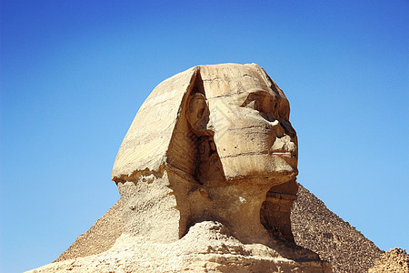 埃及文化埃及开罗狮身人面像背景