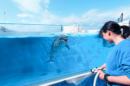 冲绳水族馆冲绳海洋公园背景