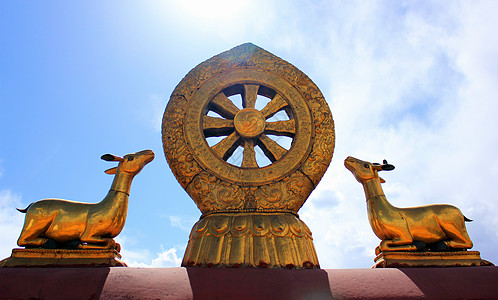 西藏大昭寺大昭寺金轮背景