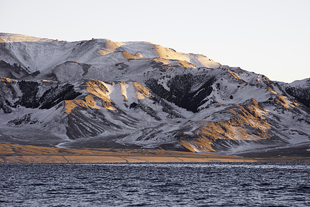 天山雪菊新疆赛里木湖冬季雪景日照金山背景