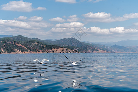 泸沽湖飞舞的精灵图片