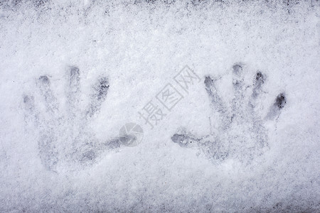 雪里的手掌图片