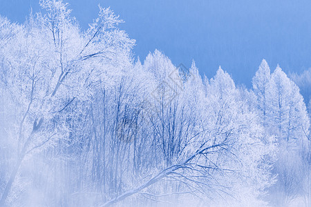 雪景背景图片