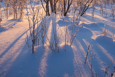 雪景背景图片