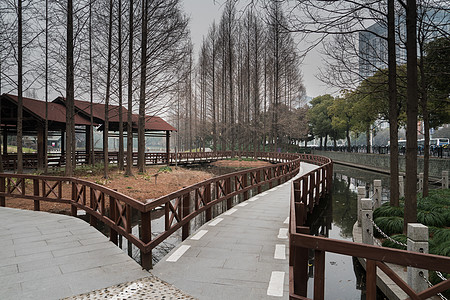 上海塘桥公园休闲步道图片