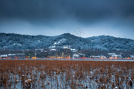 西湖残荷雪中的西湖高清图片