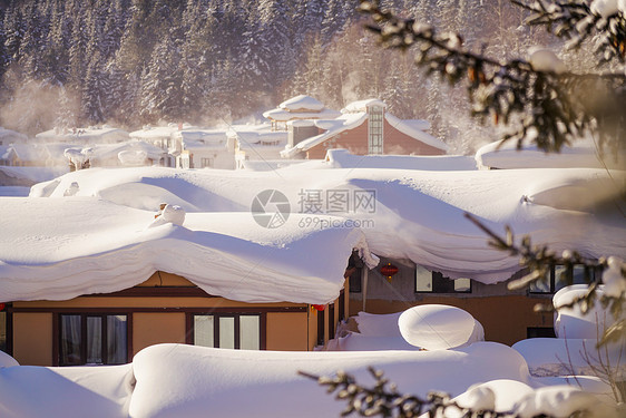 雪乡图片