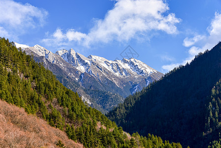 雪山森林自然背景高清图片素材