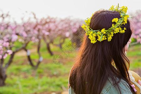 果园风光女孩桃花花环背影背景